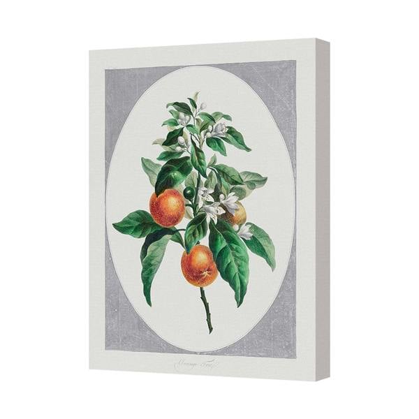 Benjamin Tate Design Contemporary Citrus Canvas Art Print With Gallery Style Wooden Frame