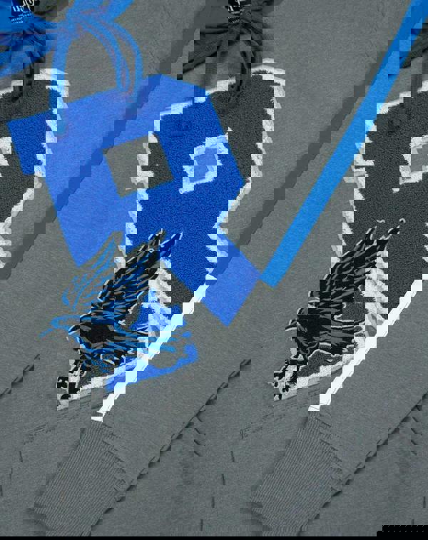 Harry Potter Womens Black Patch Logo Hoodie