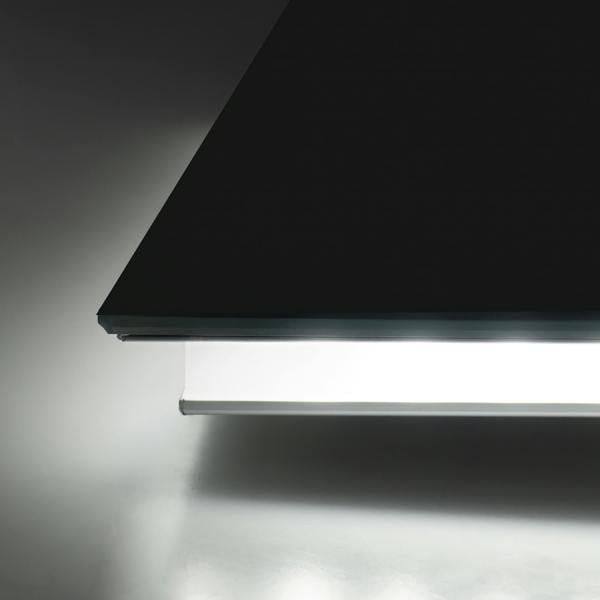 close up of back light