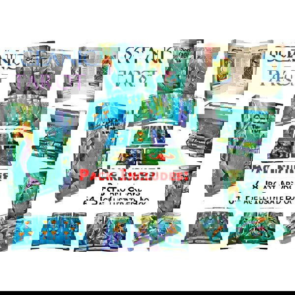 Oceanic Tarot Deck Cards Collection Box Gift Set Mind Body Spirit Mermen Mermaid