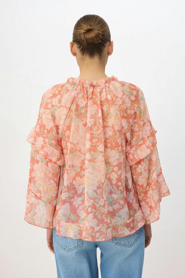 WOVCOR V Neck Raglan Sleeve Frill Detail Sheer Blouse