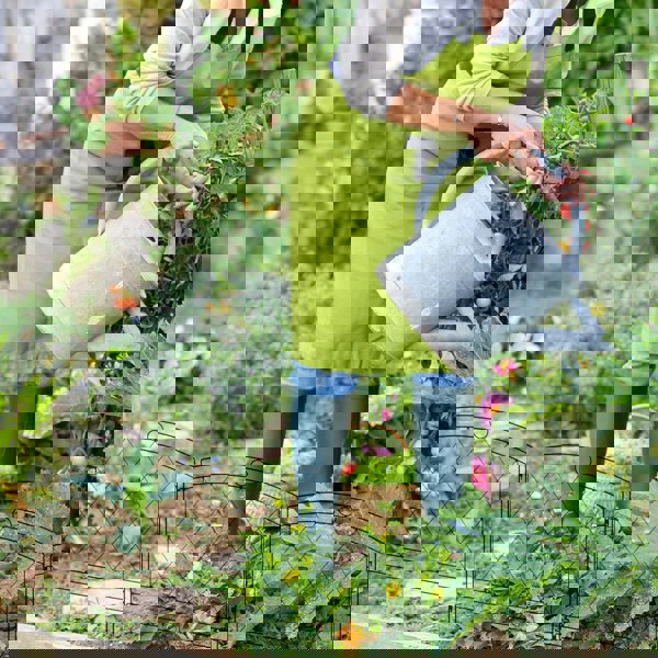 Garden Fence