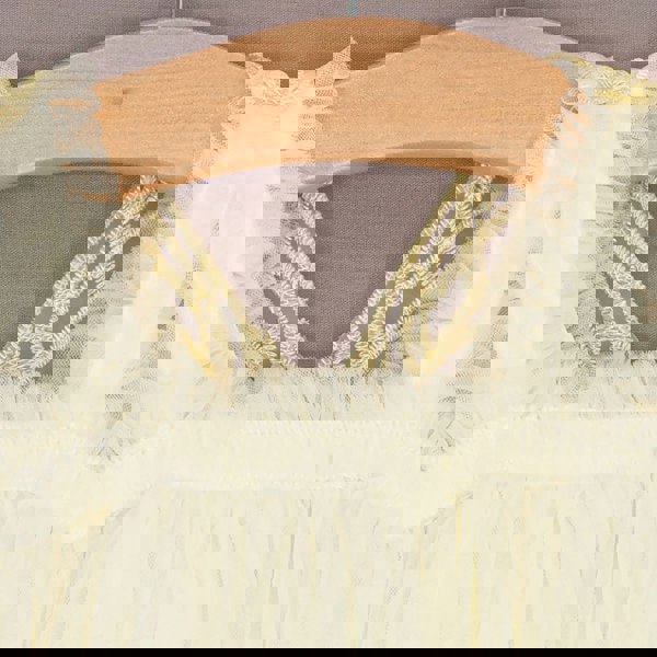 baby girls dress with butterfly wings 