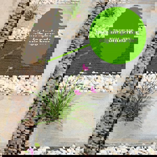 Nicoman 1m Landscaping Border With Pegs