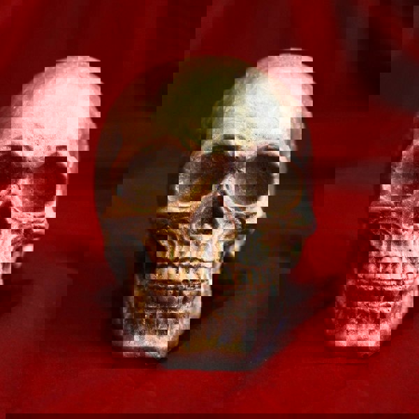 CHOC ON CHOC Giant Chocolate Skull