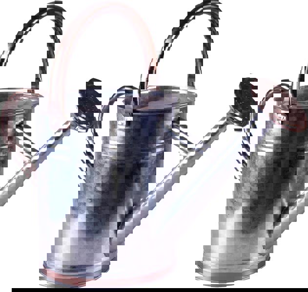 St Helens Metal Watering Can with Sprinkler Nozzle and 4 Litre Capacity