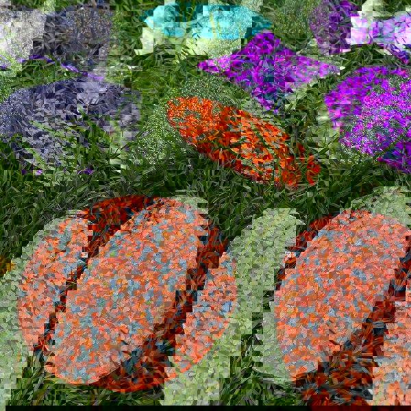 tickit Rainbow Glitter Shapes