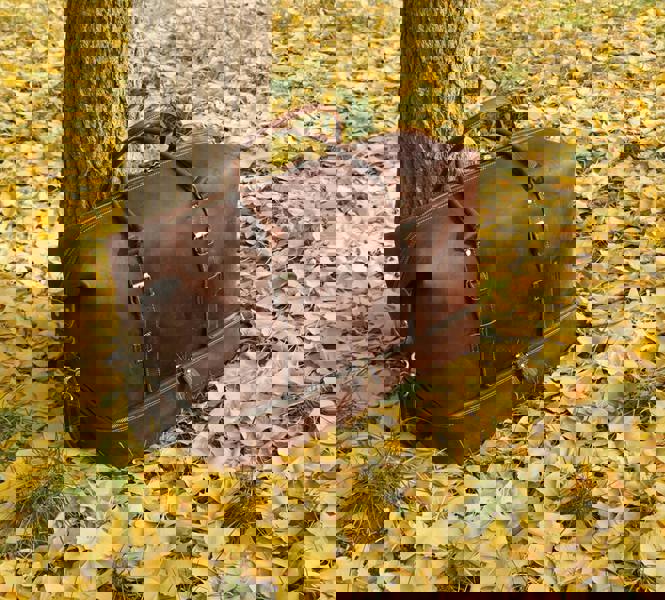 Touribag Genuine Leather Duffel With Suit Compartment