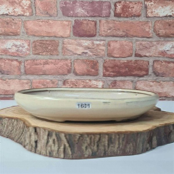 25cm Glazed Bonsai Pot | Oval | 25cm x 18cm x 4.5cm | White - Yorkshire Bonsai