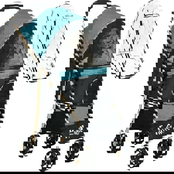 D00-188V01DG