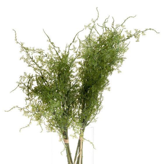Wyld Haus Set of 3 Artificial Flowers Asparagus Fern Bunches