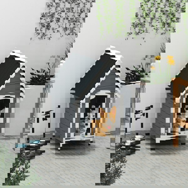 D02-174V00GY