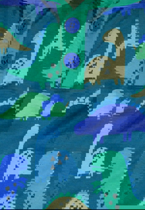 Organic Tonal Dinosaur Print Fleece Sweatshirt - Toby Tiger