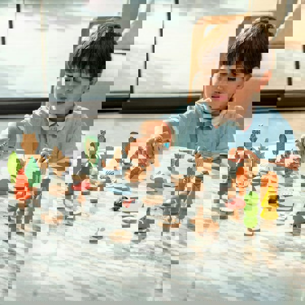 tickit Woodland Trail Set