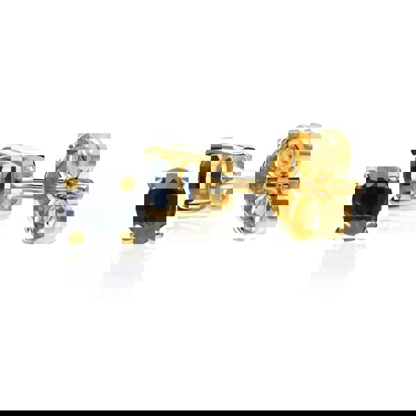 183E0083409 Classic Round Sapphire Stud Earrings in 9ct Yellow Gold 3