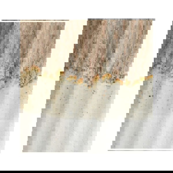 #color_neutral