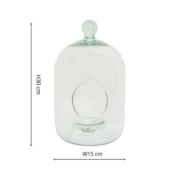 Ivyline Glass Bell Jar Open Terrarium