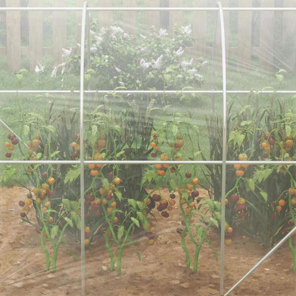Walk-in greenhouse interior with clear panels and rows of growing plants