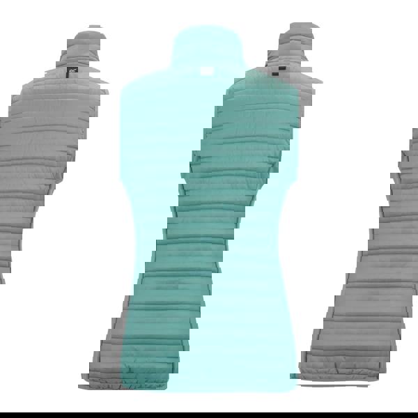 Regatta Womens/Ladies Andreson Hybrid Gilet - Ivy Moss - 