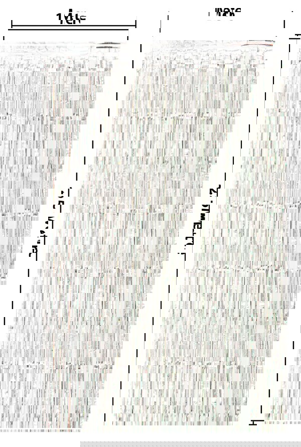 Cheetah Shimmer Tinsel Curtain, 2.5M x 1M Silver