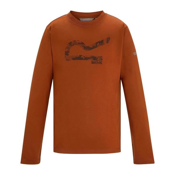 Regatta Childrens/Kids Alvarado Big Logo T-Shirt - Rooibos Tea - 