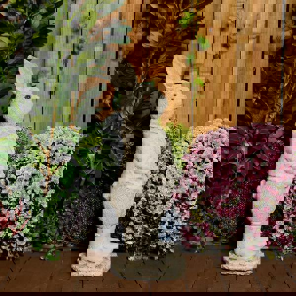 Cute Stone Cast Peter Rabbit Large Garden Sculpture