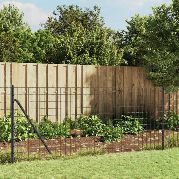 Berkfield Wire Mesh Fence with Spike Anchors Anthracite 1x25 m