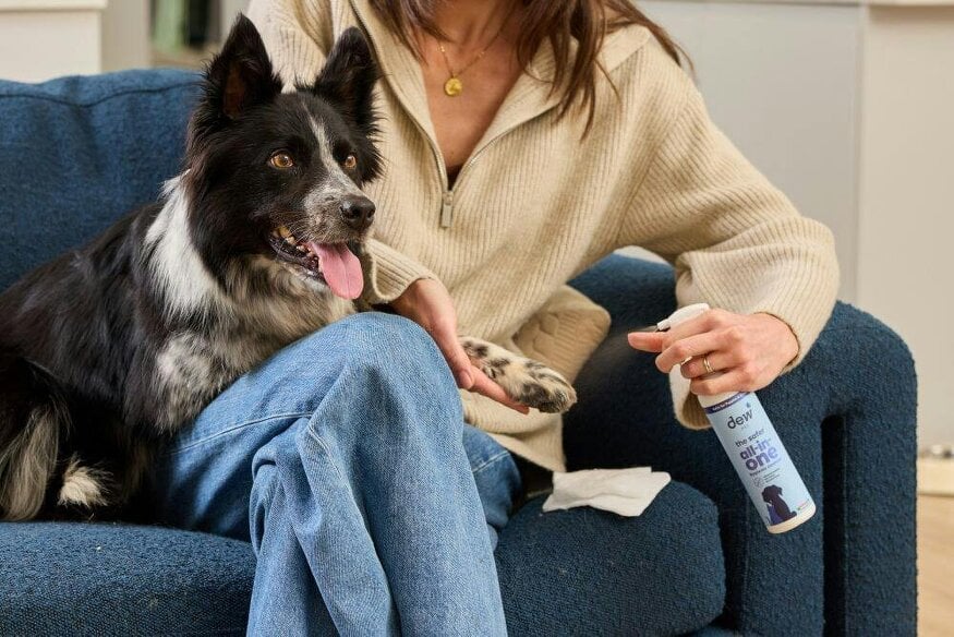 Dew Pet Combo Pack