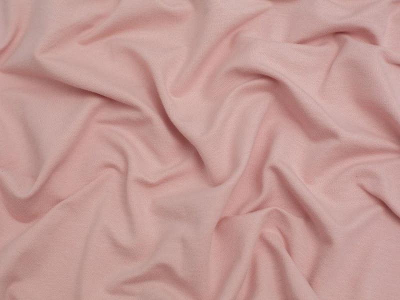 Blush Rose