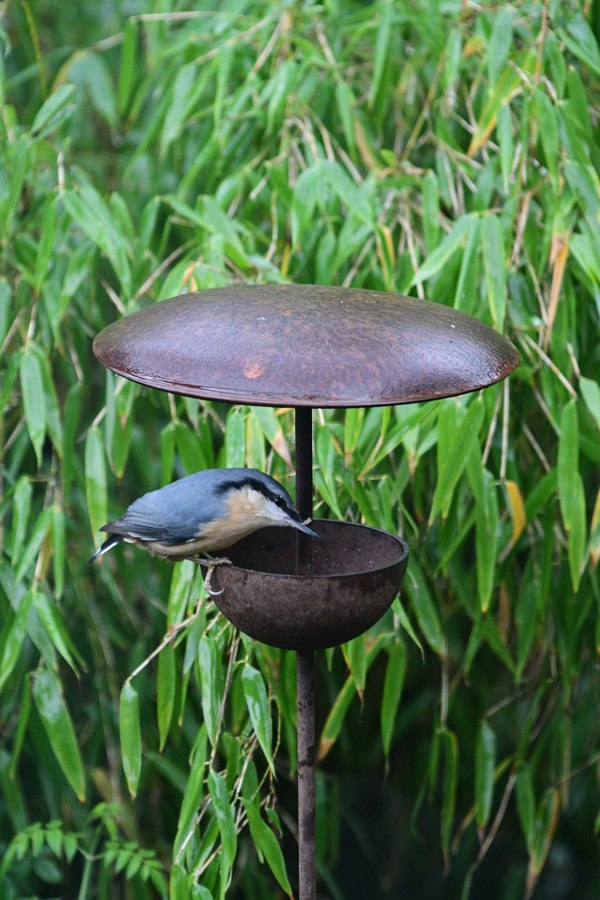 rustic bird feeder