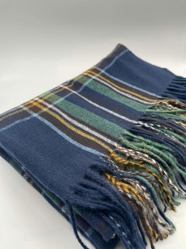 Tartan Woven with Tassels Blue Multi - svnx