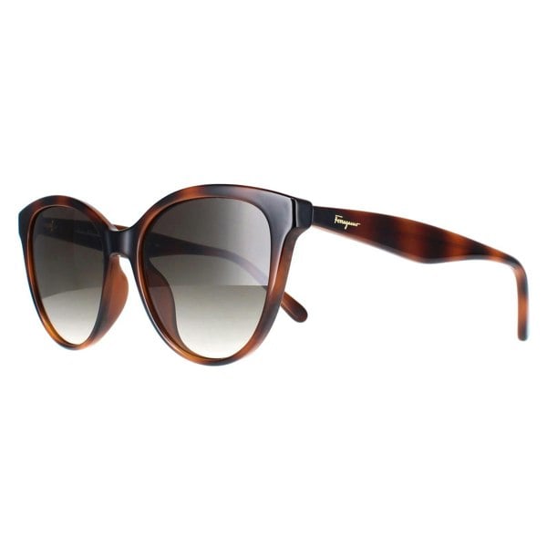 Salvatore Ferragamo Sunglasses SF1073S 240 Tortoise Grey Gradient