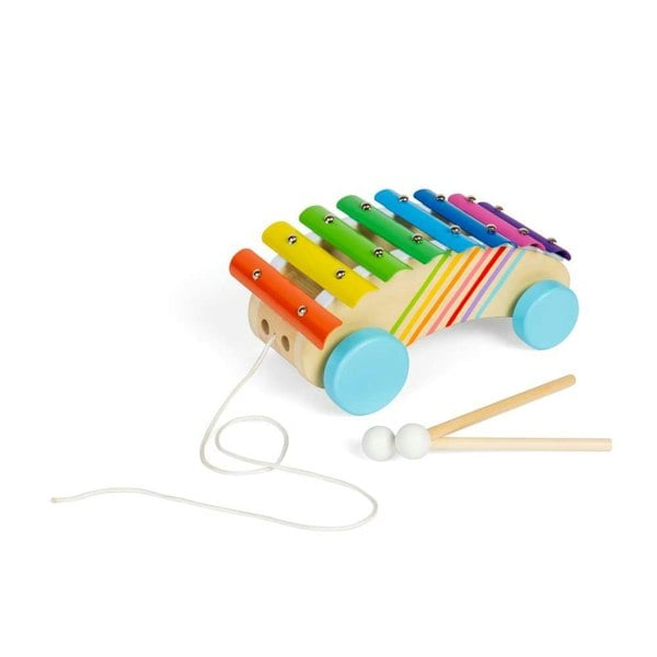 Bigjigs Toys Pull Along Xylophone