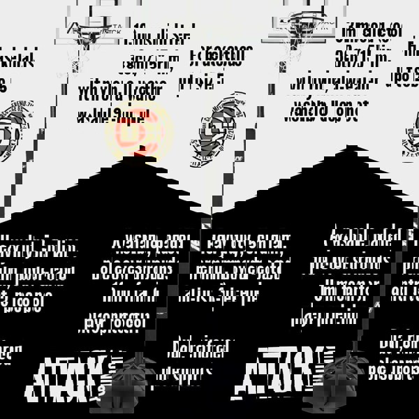 NET1 Attack Basketball Hoop