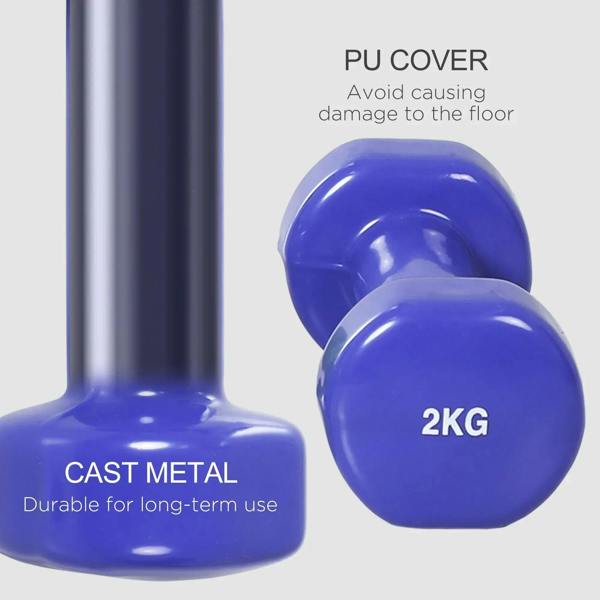 Blue cast-metal dumbbells with rounded end caps for floor-friendly grip