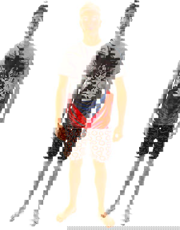 Dragon Ball Z Mens Grey Goku Short Sleeve Short Leg Pyjama Set