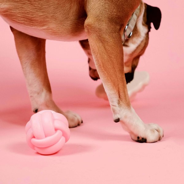 Barc London Knotball Squeaky Dog Toy