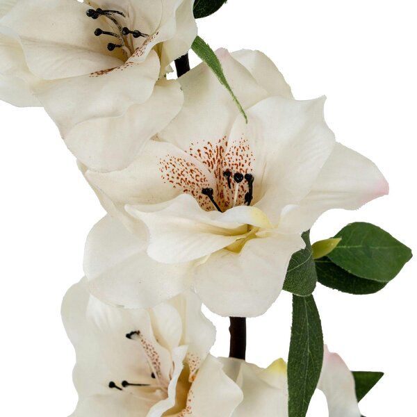 Wyld Haus Set of 3 White Bloom Large Sprays