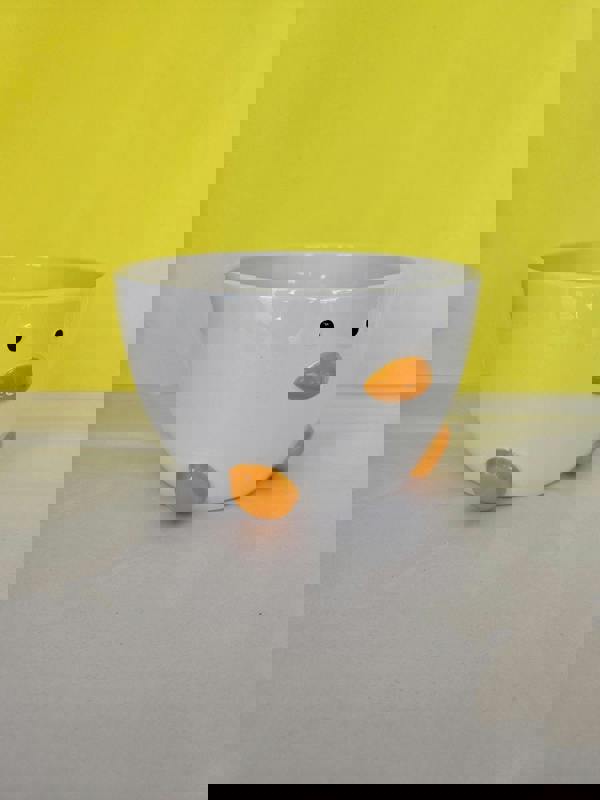 Quackers & Oats – Duck Cereal & Soup Bowl