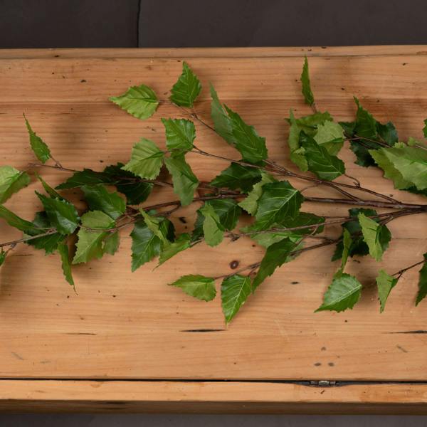 Wyld Haus Set of 3 Artificial Flowers Green Branch Sprays