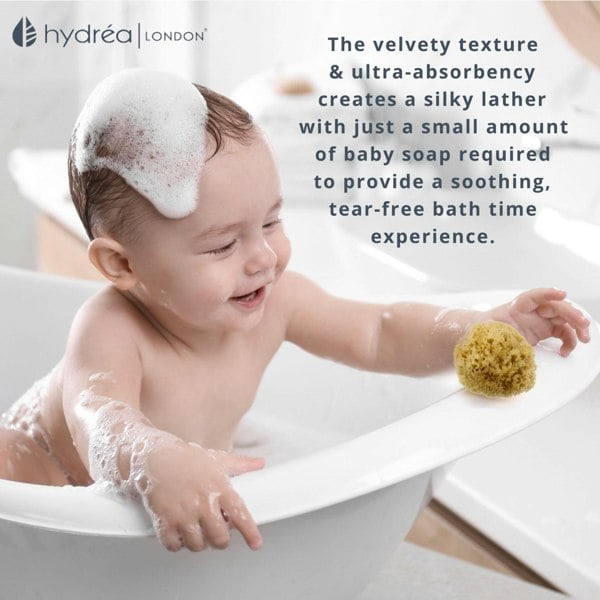 Hydréa London Premium Honeycomb Sea Sponge Set - Baby Bathing - Size 2.5-3"