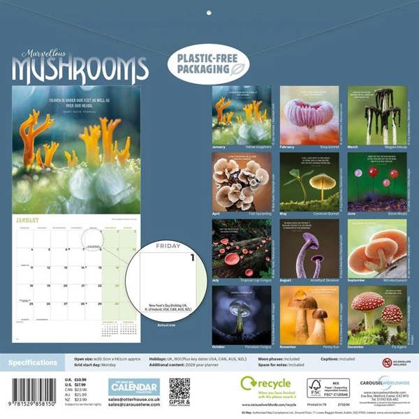Marvellous Mushrooms Calendar 2027, Wall Calendars, Month To View, Natural World, Gift