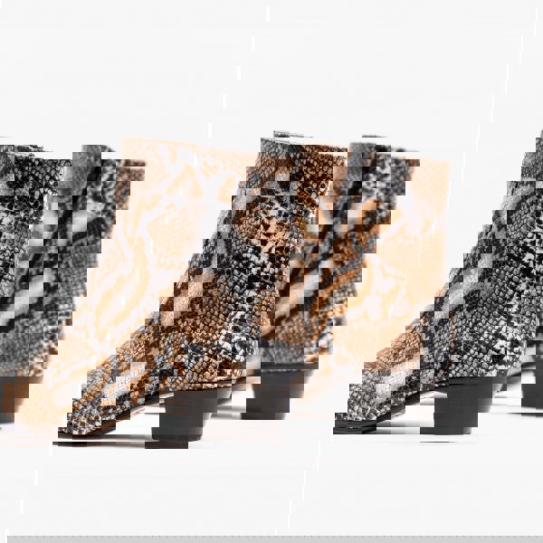 1649078067-58639200.png