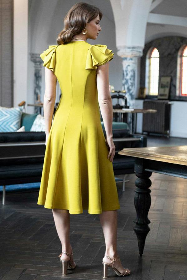 HotSquash Frill Sleeve A-Line Dress