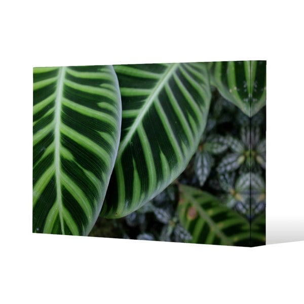 Benjamin Tate Design yellow structure in exotic jungle setting Slim Style Canvas Print  90x120cm , 15mm Slim Real wood.