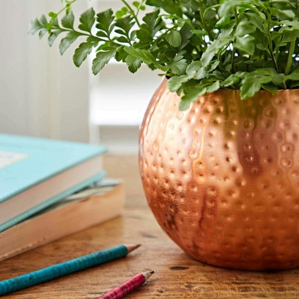 Paper High Hammered Iron Round Planter