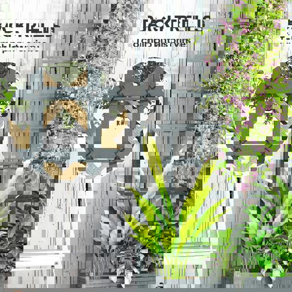 Multi-functional Garden Bed