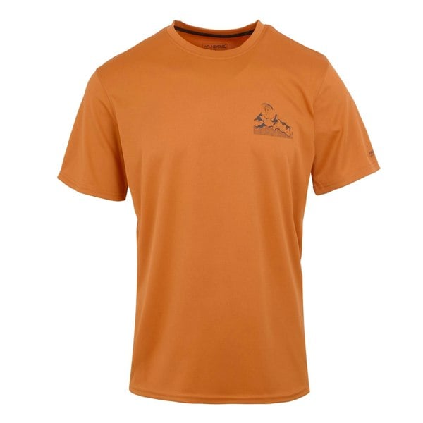 Regatta Mens Fingal IX Logo T-Shirt - Fox