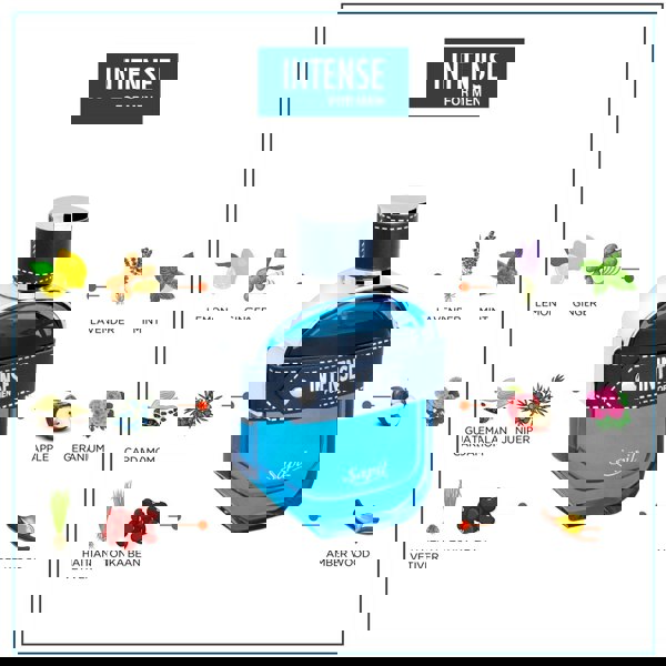 Sapil Intense Man 100ml Eau de Toilette notes chart visual