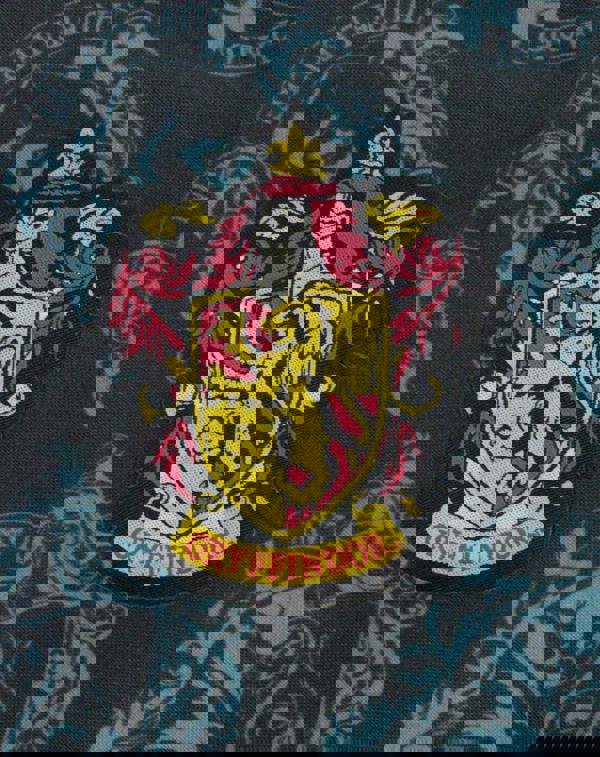 Harry Potter Girls Black Hogwarts Houses Sleeveless Skater Dress